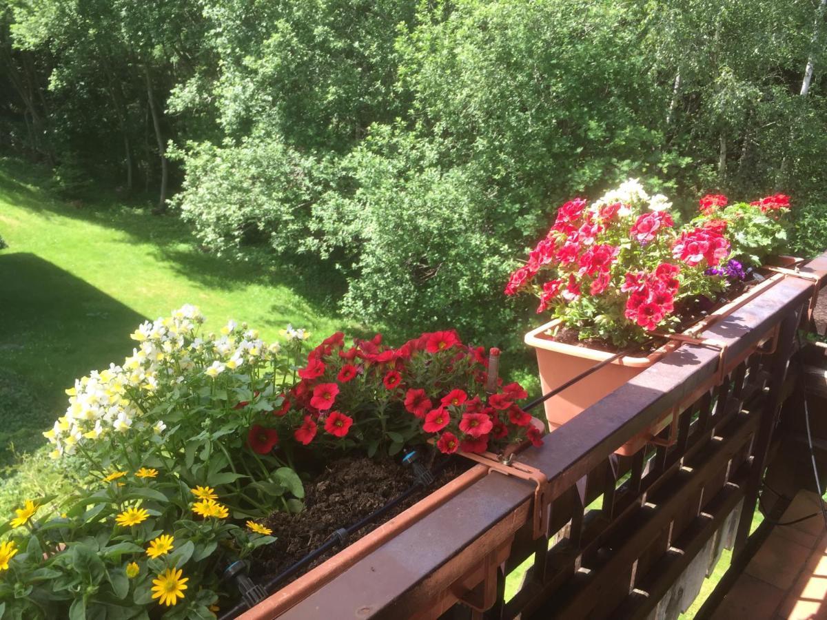 Ferienwohnung Kuckuck Auf Dem Sommerberg Incl Schwarzwaldcard Plus - 2 Zimmer 50Qm Бад-Вільдбад Екстер'єр фото