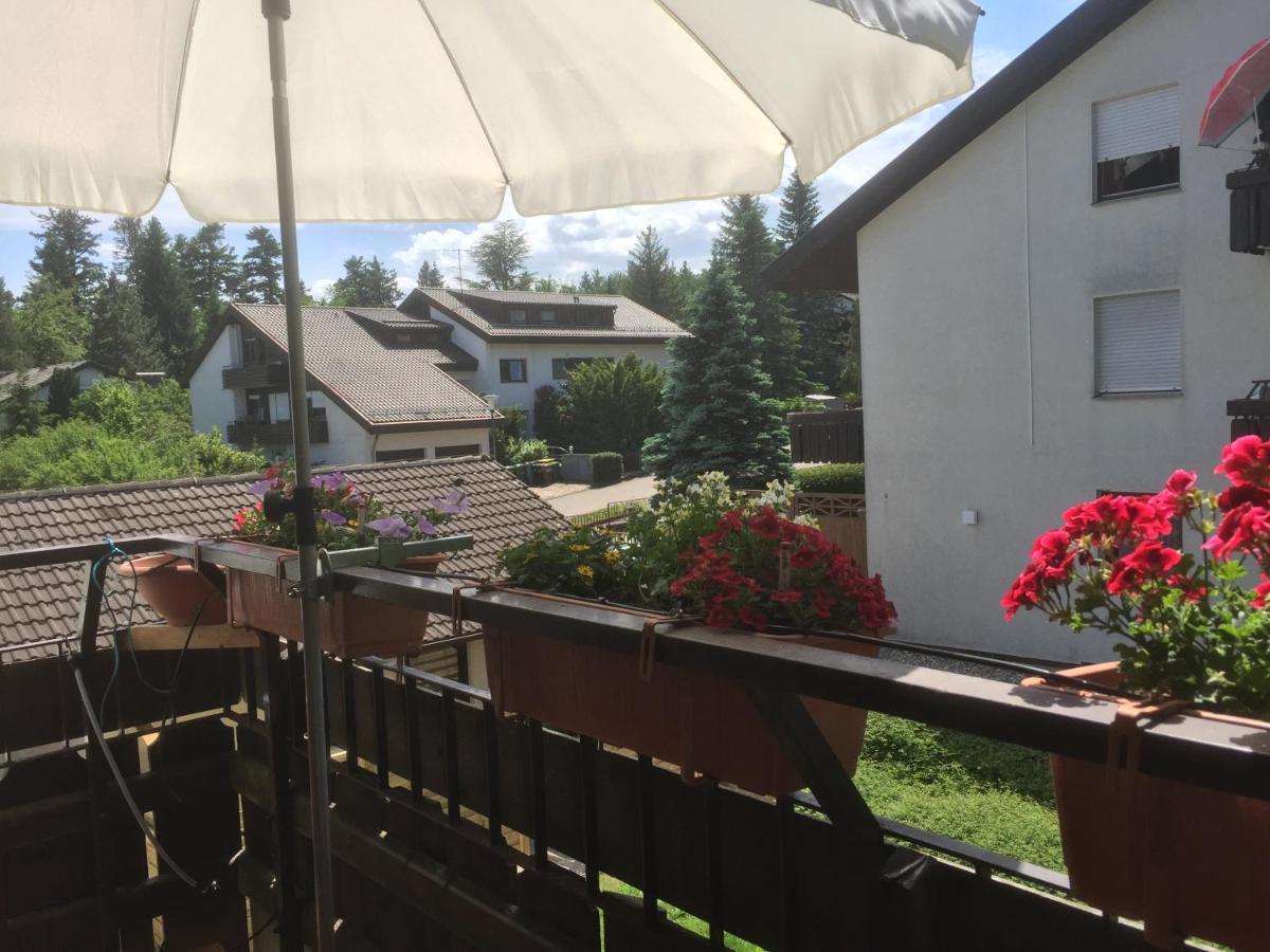 Ferienwohnung Kuckuck Auf Dem Sommerberg Incl Schwarzwaldcard Plus - 2 Zimmer 50Qm Бад-Вільдбад Екстер'єр фото