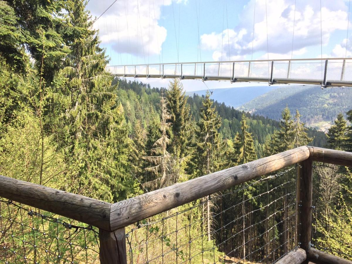 Ferienwohnung Kuckuck Auf Dem Sommerberg Incl Schwarzwaldcard Plus - 2 Zimmer 50Qm Бад-Вільдбад Екстер'єр фото