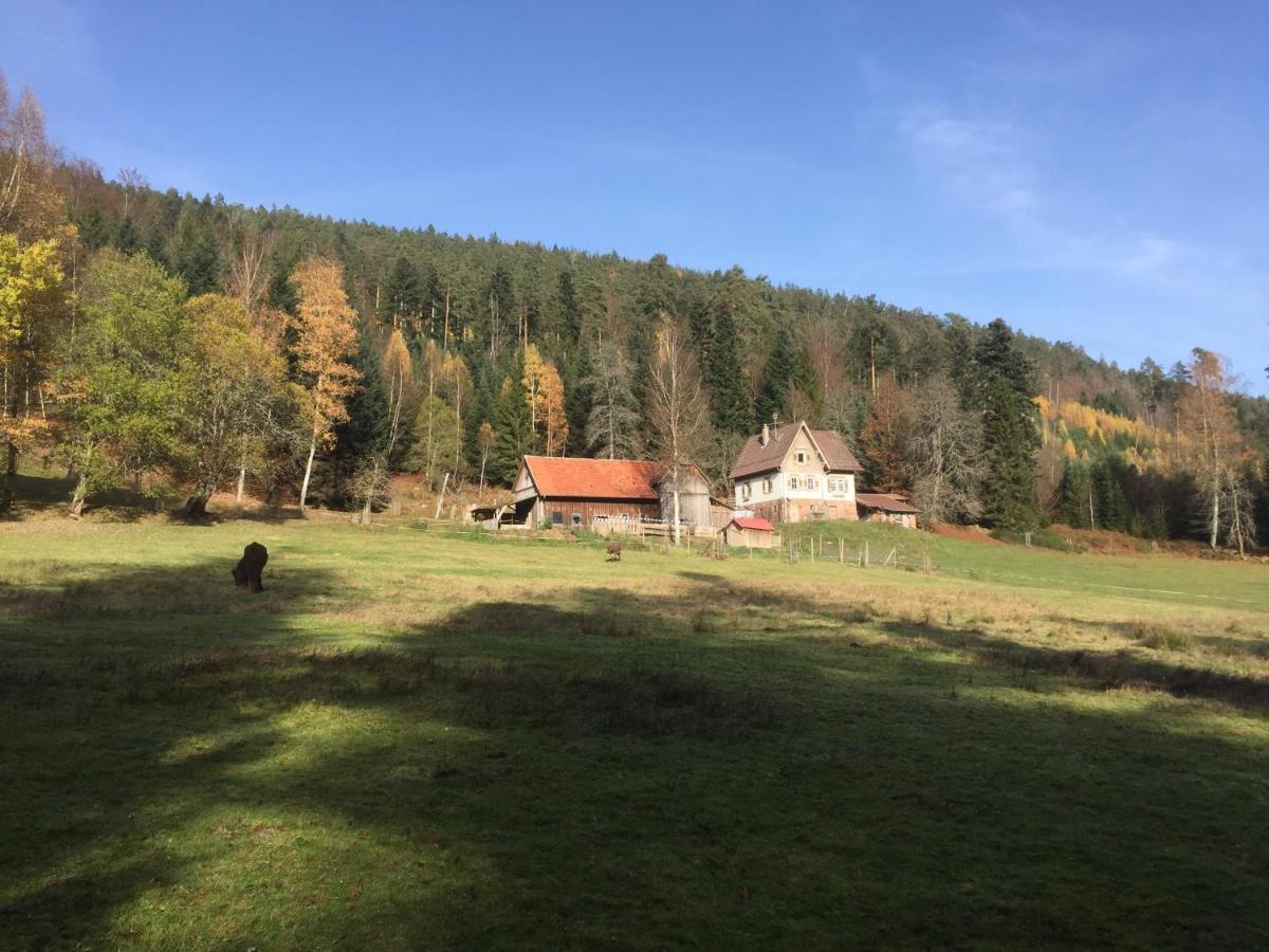 Ferienwohnung Kuckuck Auf Dem Sommerberg Incl Schwarzwaldcard Plus - 2 Zimmer 50Qm Бад-Вільдбад Екстер'єр фото